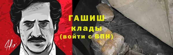 шишки Алзамай
