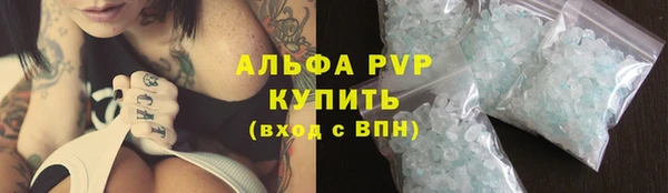 амф Алексин