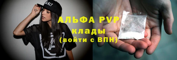 шишки Алзамай