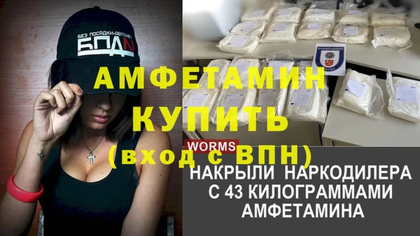 амф Алексин